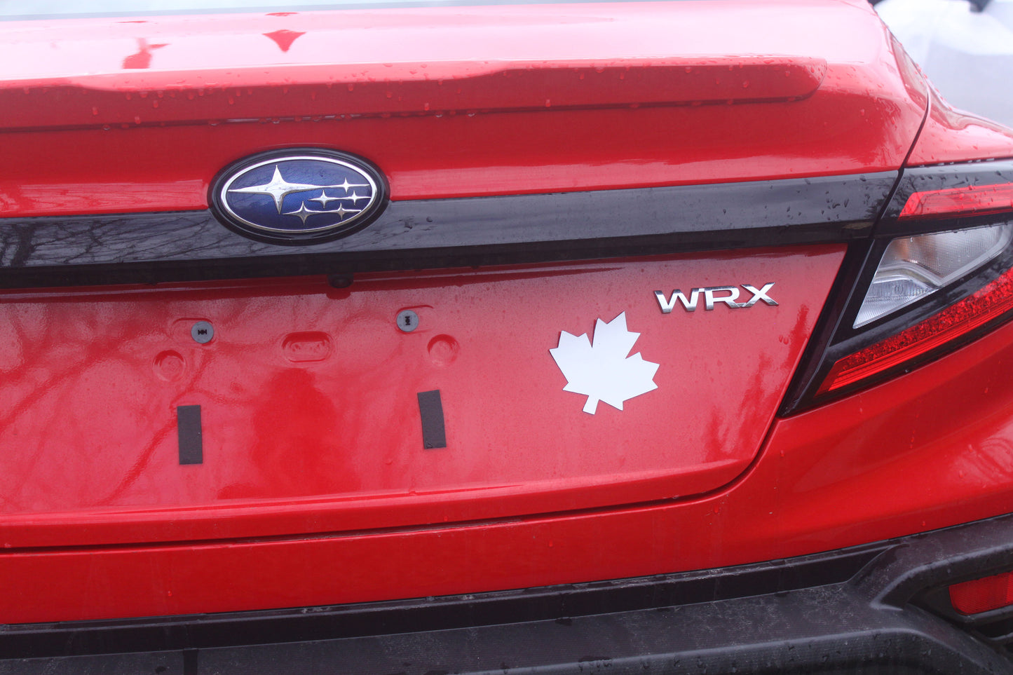 Maple Magnet Removable Car Magnet - White