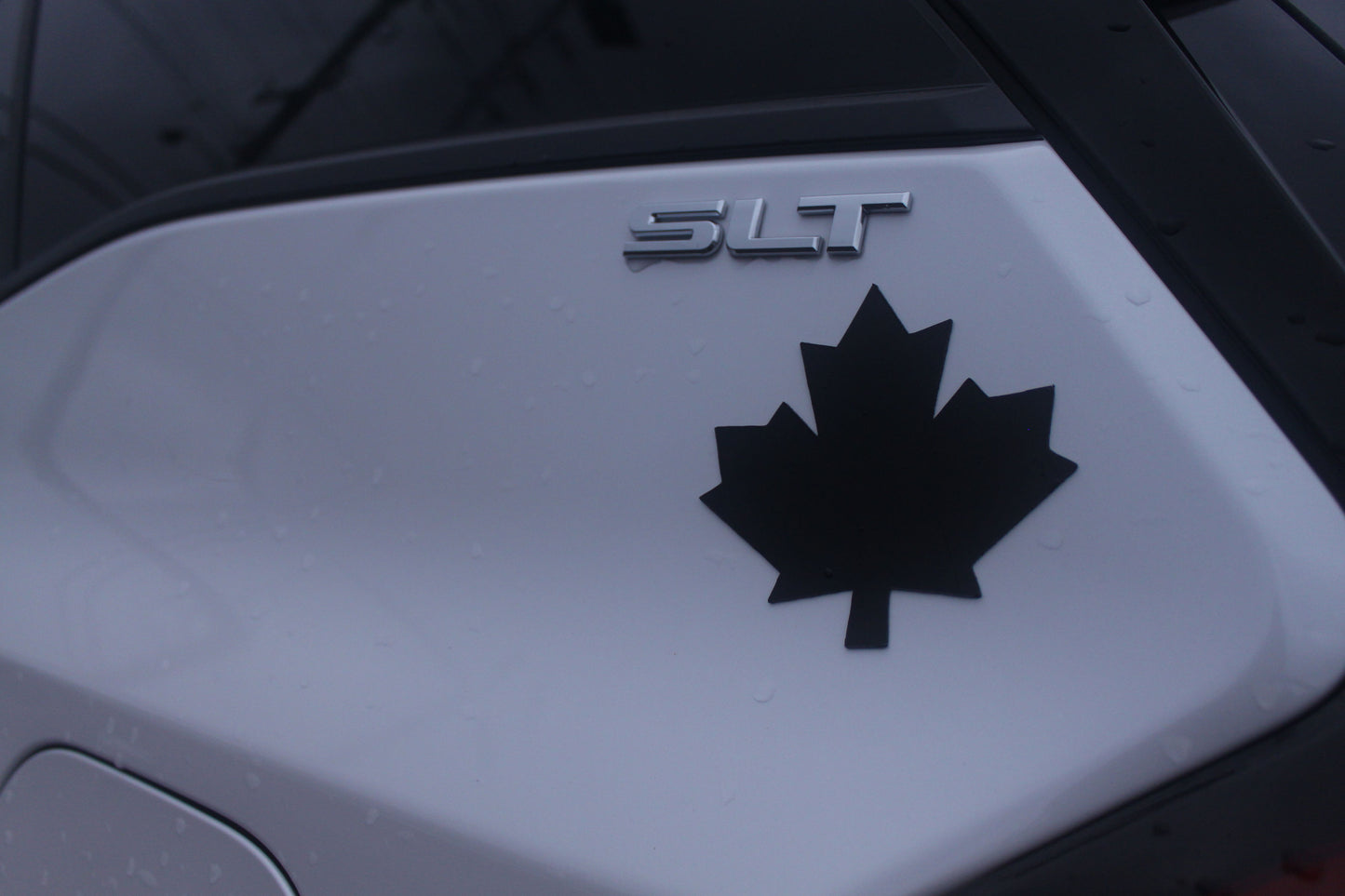 Maple Magnet Removable Car Magnet - Black