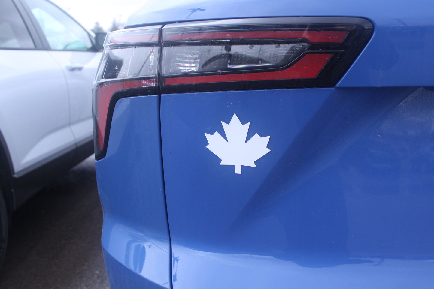 Maple Magnet Removable Car Magnet - White